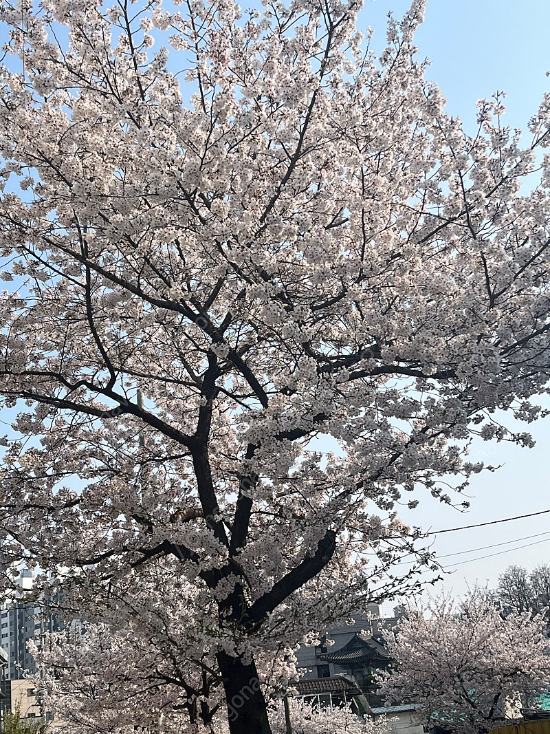 패쓰하시면 패쓰하신다 한마디만 해주세요 !!