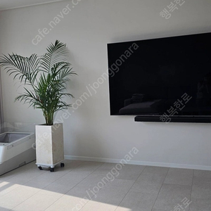 삼성네오qled75인치티비(kq75qna88afxkr)