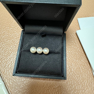 타사키 에라링 12호