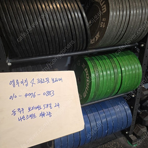 엑스포디움 컬러 플레이트 원판 팝니다