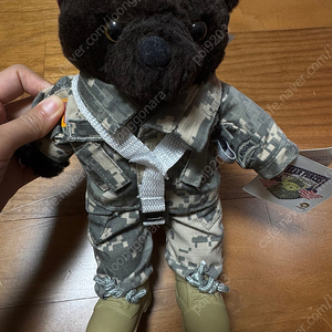 주한미군 테디베어 US army teddy bear