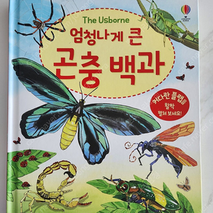 어스본 엄청나게 큰 곤충백과