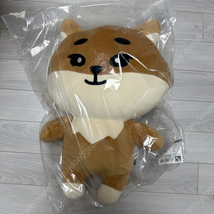 데이식스 자이언트 데니멀즈 케둥이
