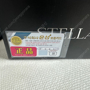 스텔라8000pg