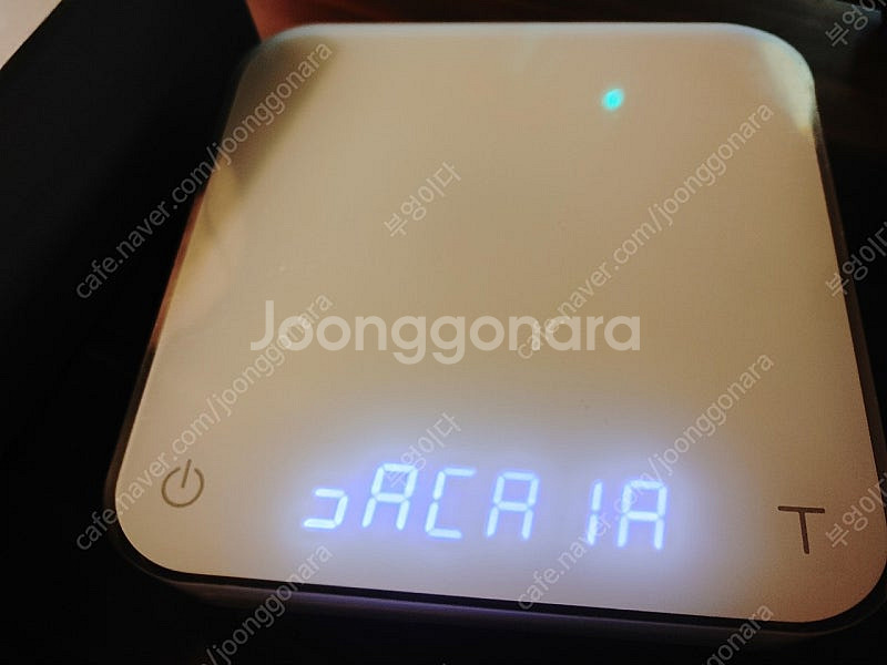 아카이아 펄 카페저울 정식수입품--0