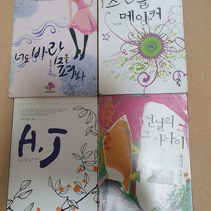 소설책8권