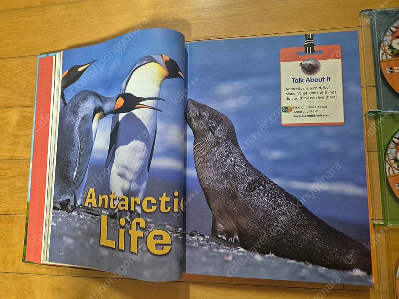 미국교과서 맥그로힐 트레져 3(Mcgraw hill--5