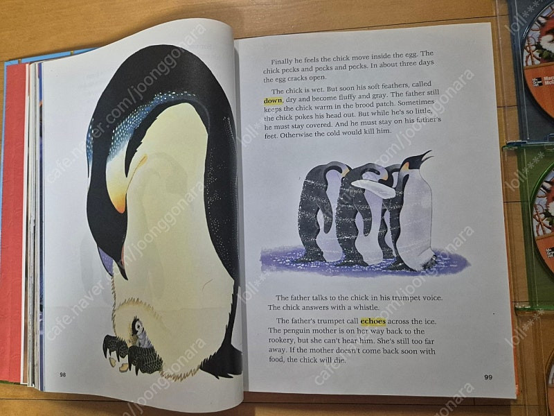 미국교과서 맥그로힐 트레져 3(Mcgraw hill--6