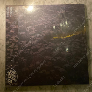 장기하와 얼굴들 1집 한정판 LP