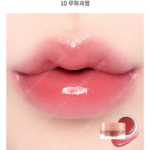 데이지크 프루티 립잼 10 무화과잼 봄웜 여쿨 갈웜 겨쿨 립밤 립글로스