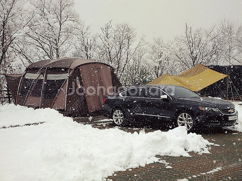 KOVEA EASTERN 텐트 팝니다. 코베아 이스턴 ...--0