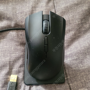Razer Mamba 마우스