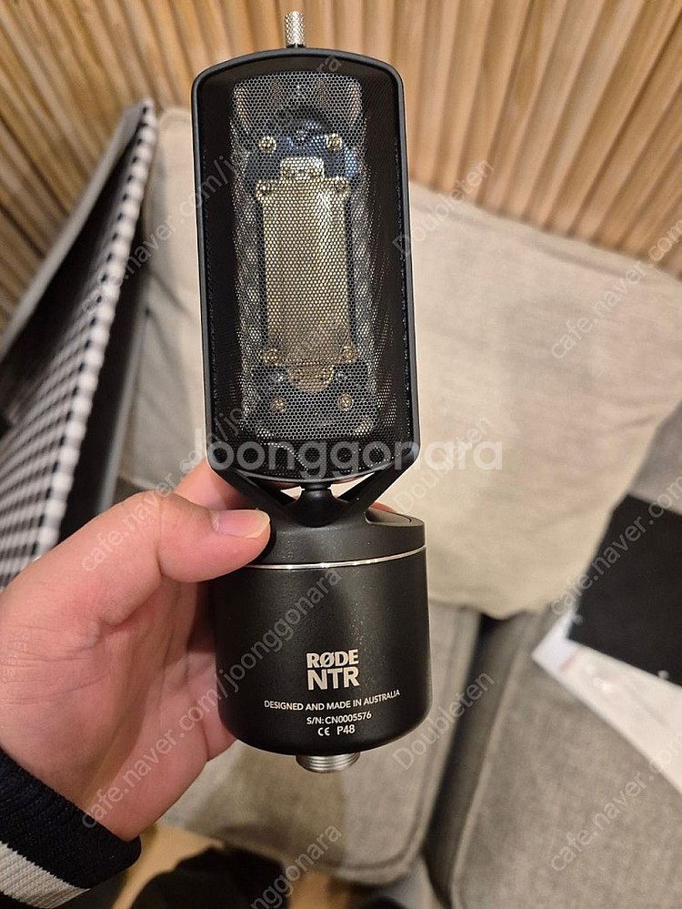 rode ntr 리본마이크--0