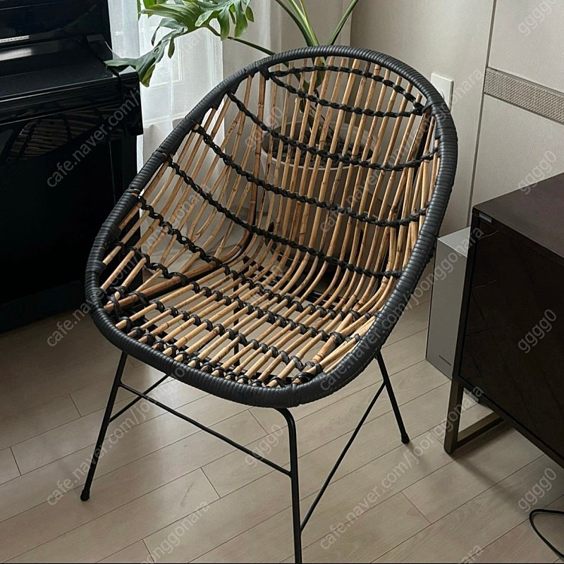 까사미아 라탄체어