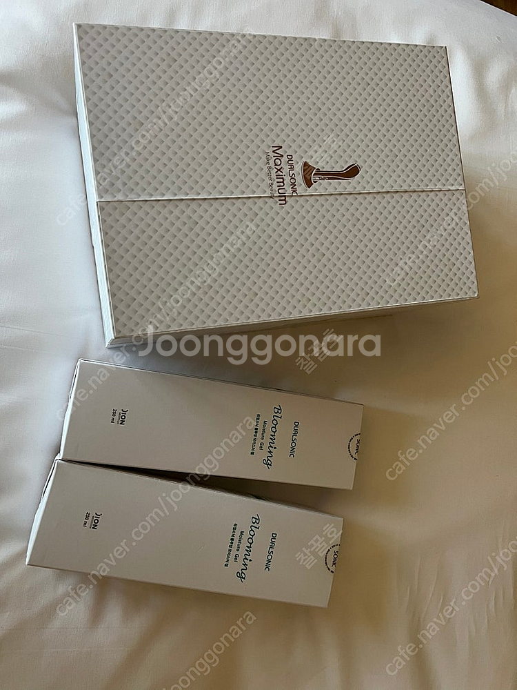 듀얼소닉--1