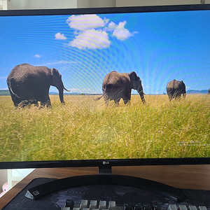 LG 32인치 IPS 모니터