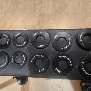 타이탄테크 마그네틱 저중량 원판 세트