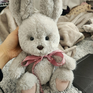 테디테일즈 레나버니 M 네고사절!