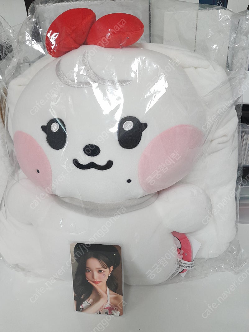 덤드림 2개 일괄)미개봉 새상품 아이브 원영 공식 인형 아이브 미니브 미니니 라인프랜즈 체리니 대형 인형과 원영 팬미팅 공식 정품 포카