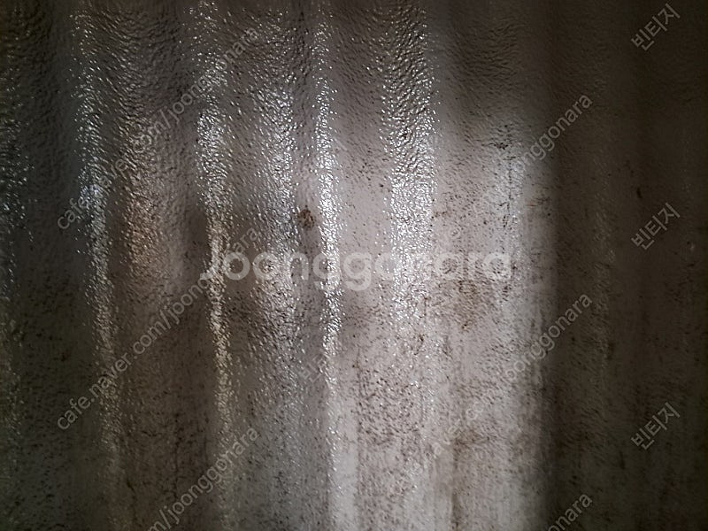 40피트 냉동 컨테이너 25이하까지 내려감 상태 매우 좋음--4