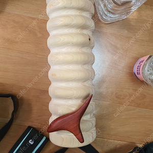 Snpe자세교정기구