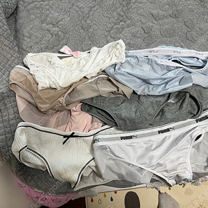 팬티