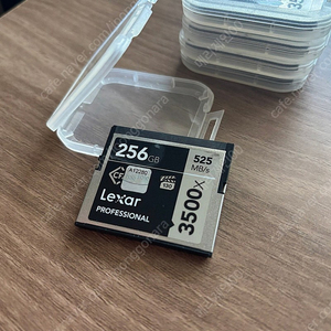 렉사 cfast 256