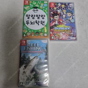 닌텐도 스위치 게임칩