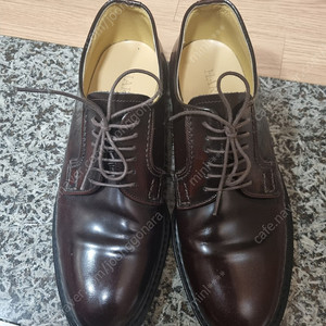 하루타 711 버건디 265 팝니다