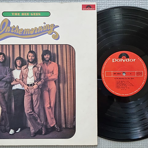 Pop & Rock LP / 0411