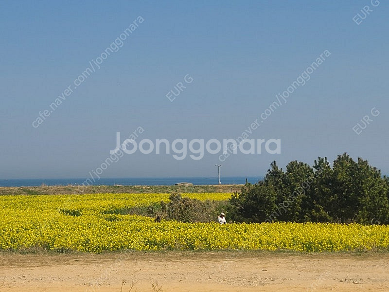 베스파 gts300롱 스크린--5