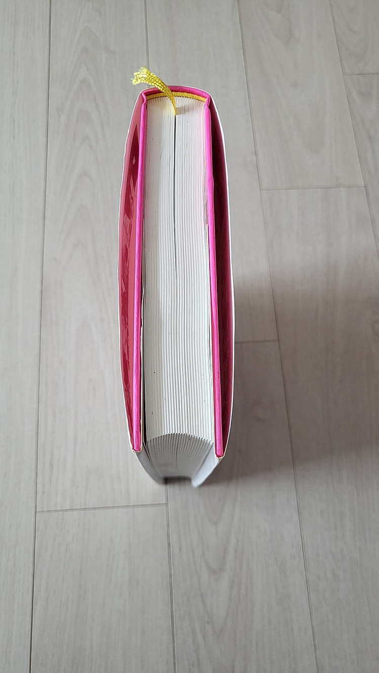 예술의 역사. 표현하고 연결하고 매혹하다--2