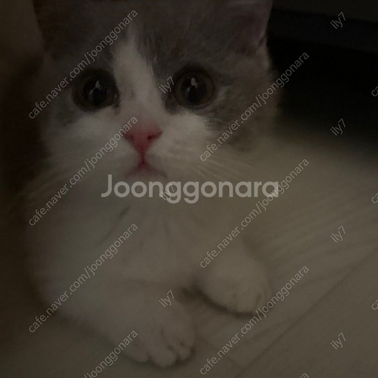 광명 G타워 월주차 등록--0