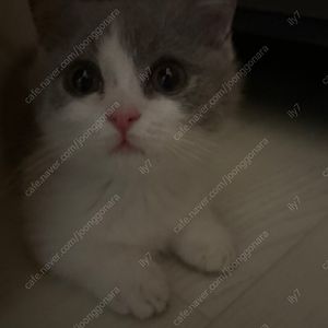 광명 G타워 월주차 등록