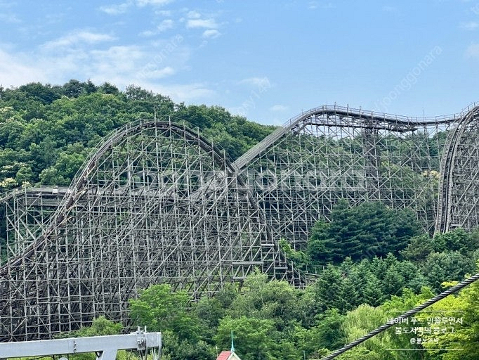 에버랜드 365 스텐다드권 팝니다( 일주일만 할인,직거...--0