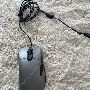 익스 3.0 그레이