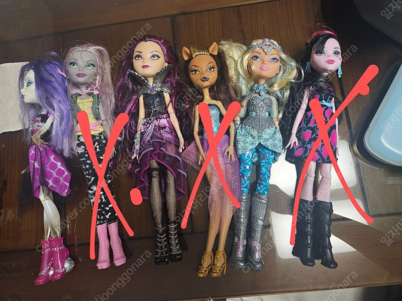 몬하돌 일괄10개 가져가실분 개별가능--1