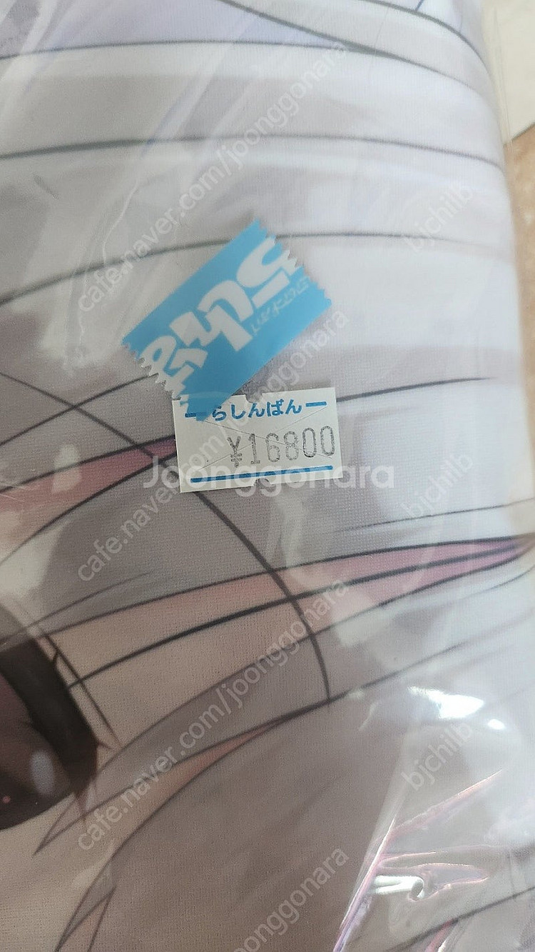 스터디 스테디 카케가와 하즈키 다키마쿠라 판매합니다.--1