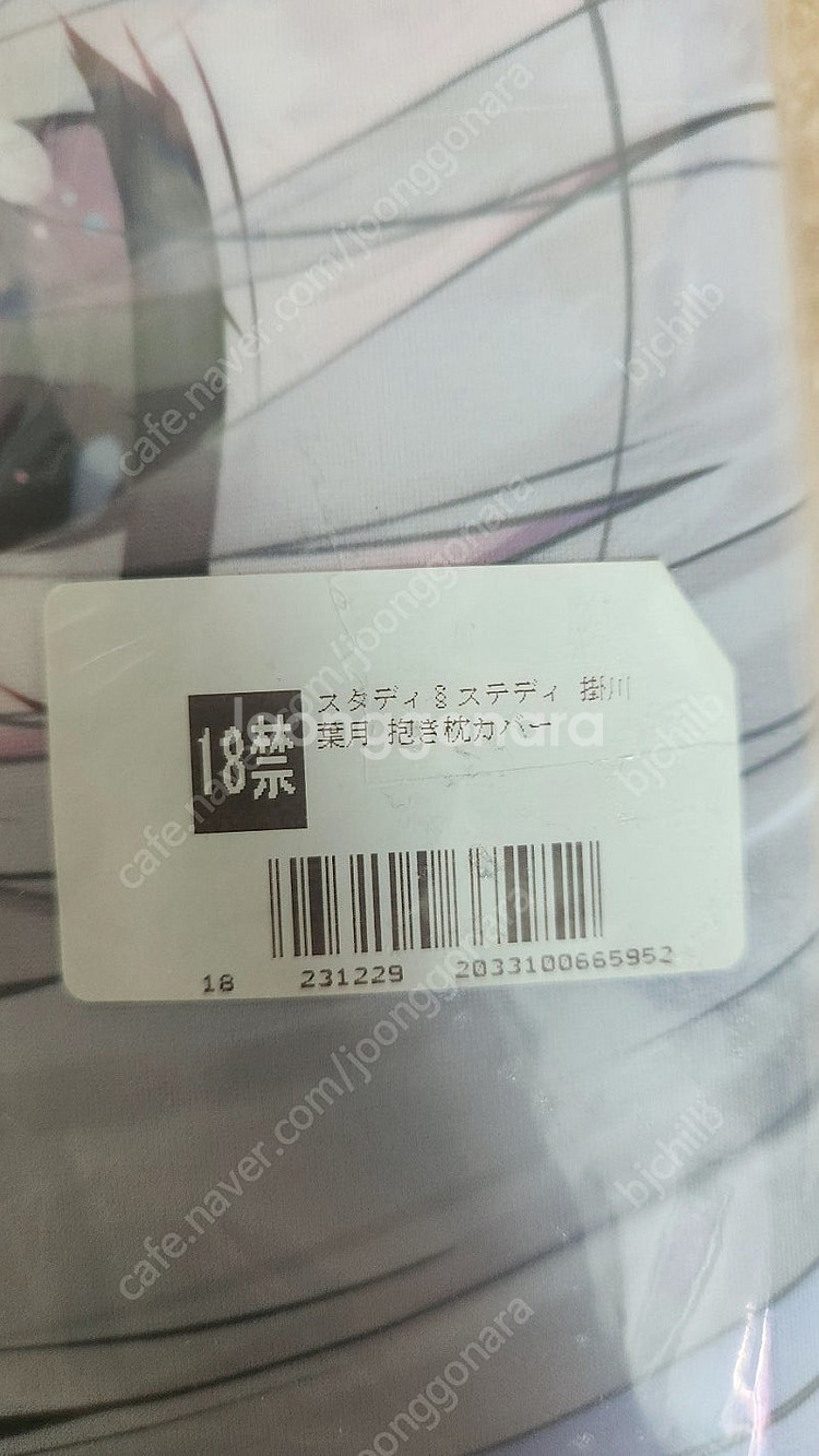 스터디 스테디 카케가와 하즈키 다키마쿠라 판매합니다.--2