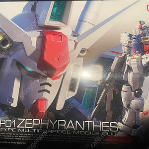 RG GP01 제피랜더스