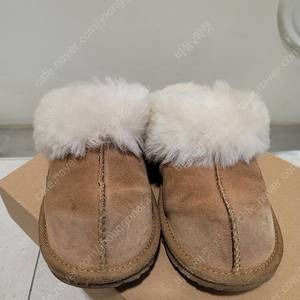 어그 UGG 키즈 어그슬리퍼 (백화점 상품, 미국 어그 / 1사이즈)