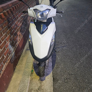 vf100 2021년십 14000키로 헐값