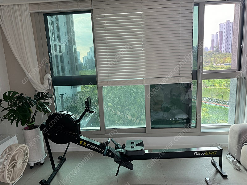 컨셉2 로우에르그 (로잉머신) PM5 팝니다(가격최정수정)--0