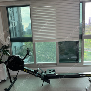 컨셉2 로우에르그 (로잉머신) PM5 팝니다(가격최정수정)