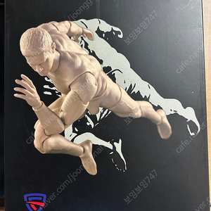 1/12 Cftoys 커스텀 바디 판매합니다
