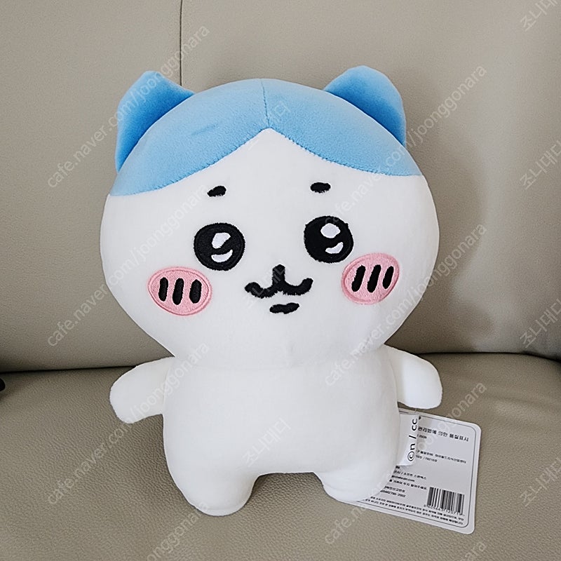 하치와레 25cm 중형 인형 (정품)