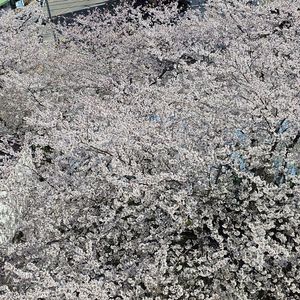 kn10 윤활 및 세척 흡음