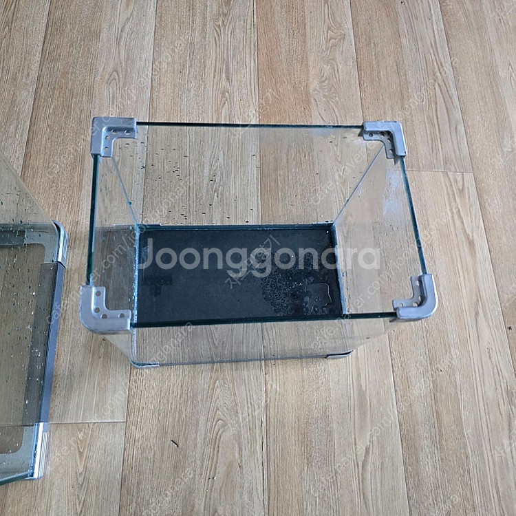 물고기 키우실분 싸게 가져가세요.(어항,구피,수조)--1