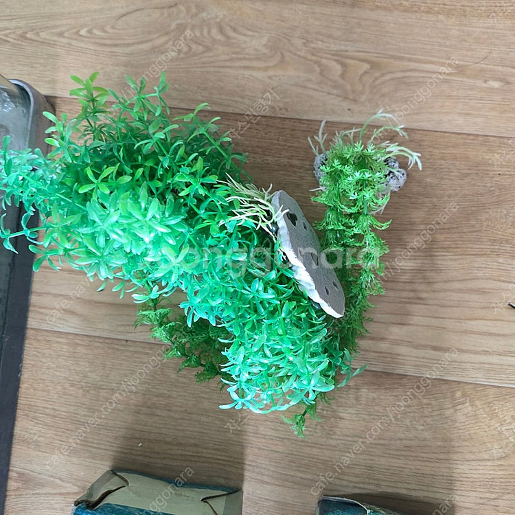 물고기 키우실분 싸게 가져가세요.(어항,구피,수조)--6