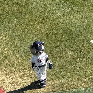 12일 토요일 두산 엘지 3루 오렌지 2연석 정가양도